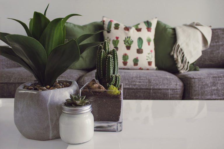 Transform Your Space: Innovative Home Decor Products That Inspire Creativity